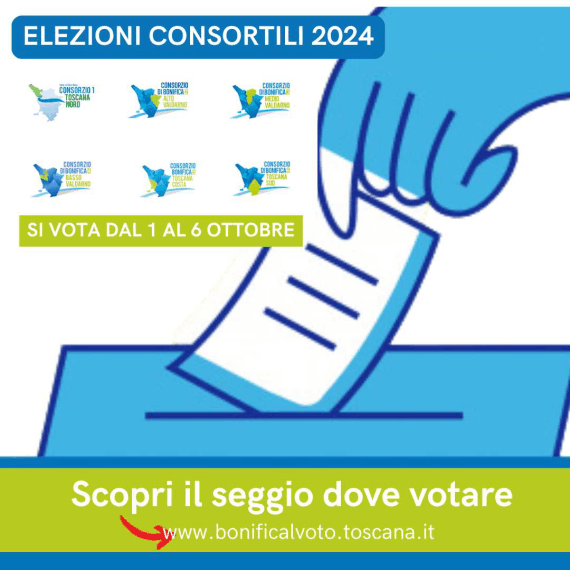 immagine decorativa