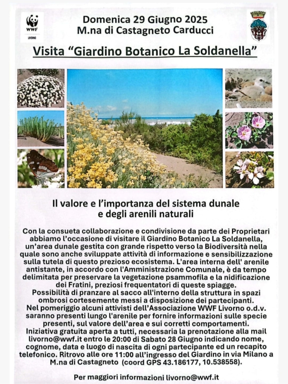 locandina