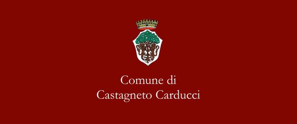 logo comune